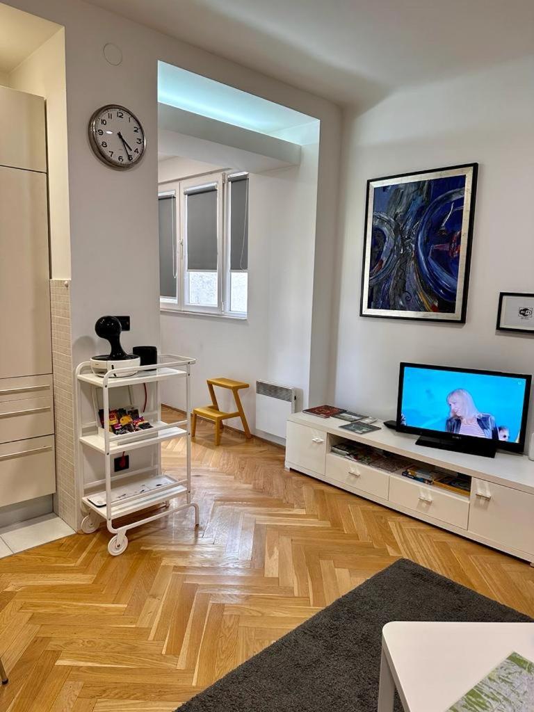 Apartments Mango Downtown Zagreb Dış mekan fotoğraf